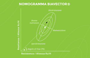 Migliorare il metabolismo basale, massa magra e massa grassa