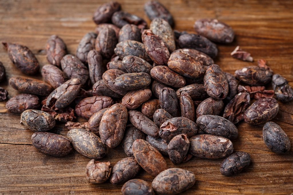 cacao è un alimento ricco di antiossidanti che servono per rimanere giovani